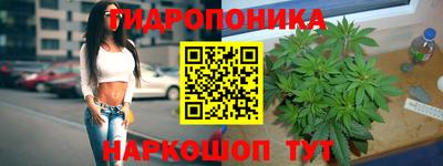 молекула духа Усть-Илимск
