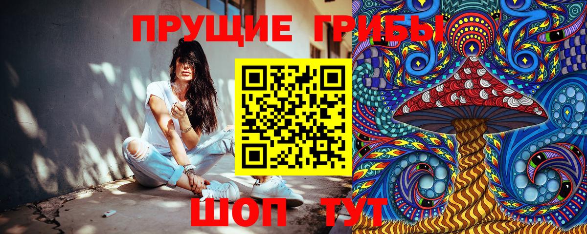 Псилоцибиновые грибы GOLDEN TEACHER Наро-Фоминск
