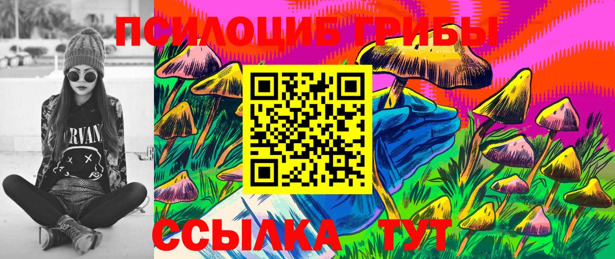 закладки  Псилоцибиновые грибы Cubensis  Наро-Фоминск  Вход с VPN  Галлюциногенные грибы Psilocybe 